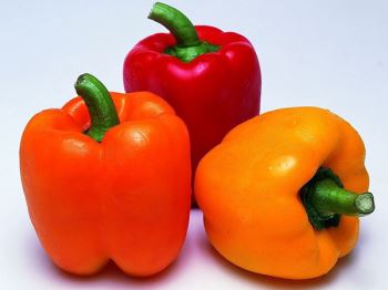 Multicolored pepper